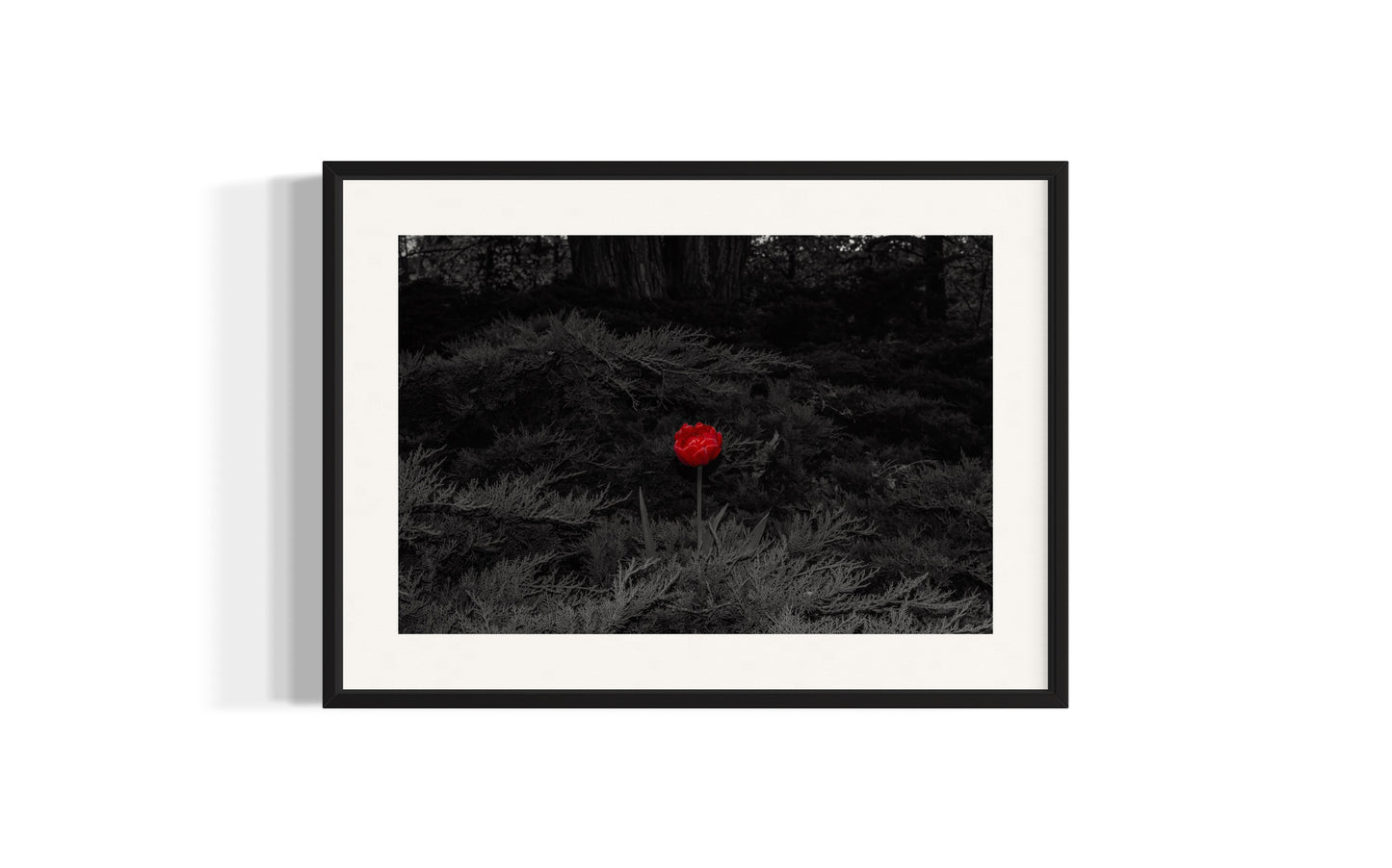 Lonely in Red