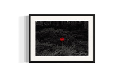 Lonely in Red