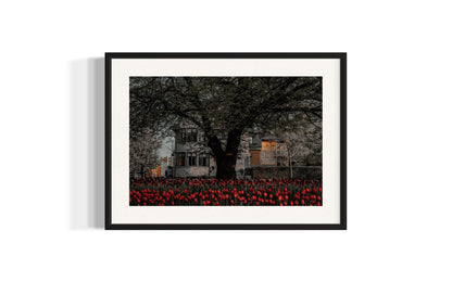 Scarlet Roots